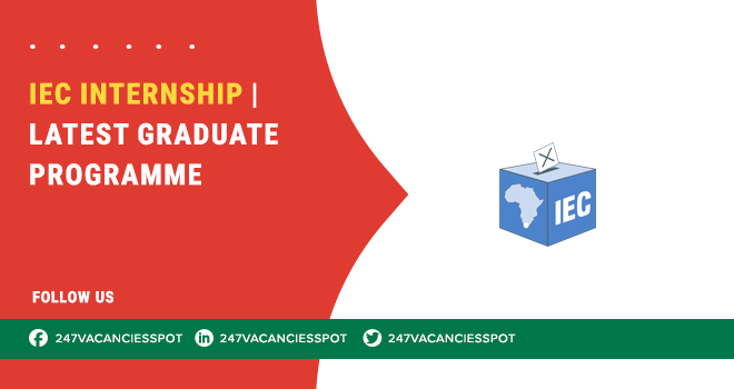 IEC Internships South Africa: Your Start in Public Administration